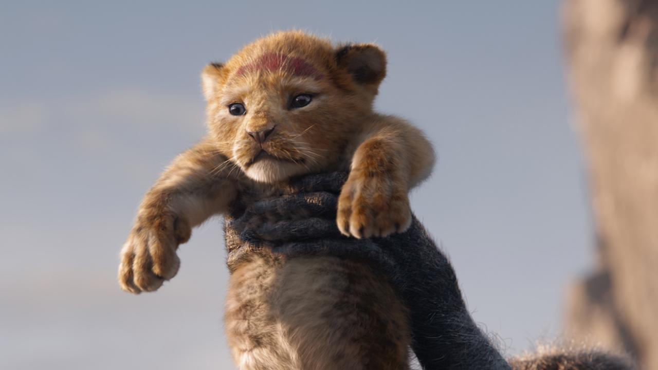 The Lion King