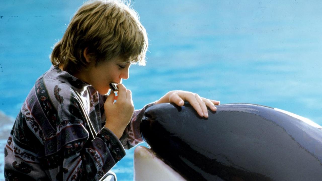 Free Willy