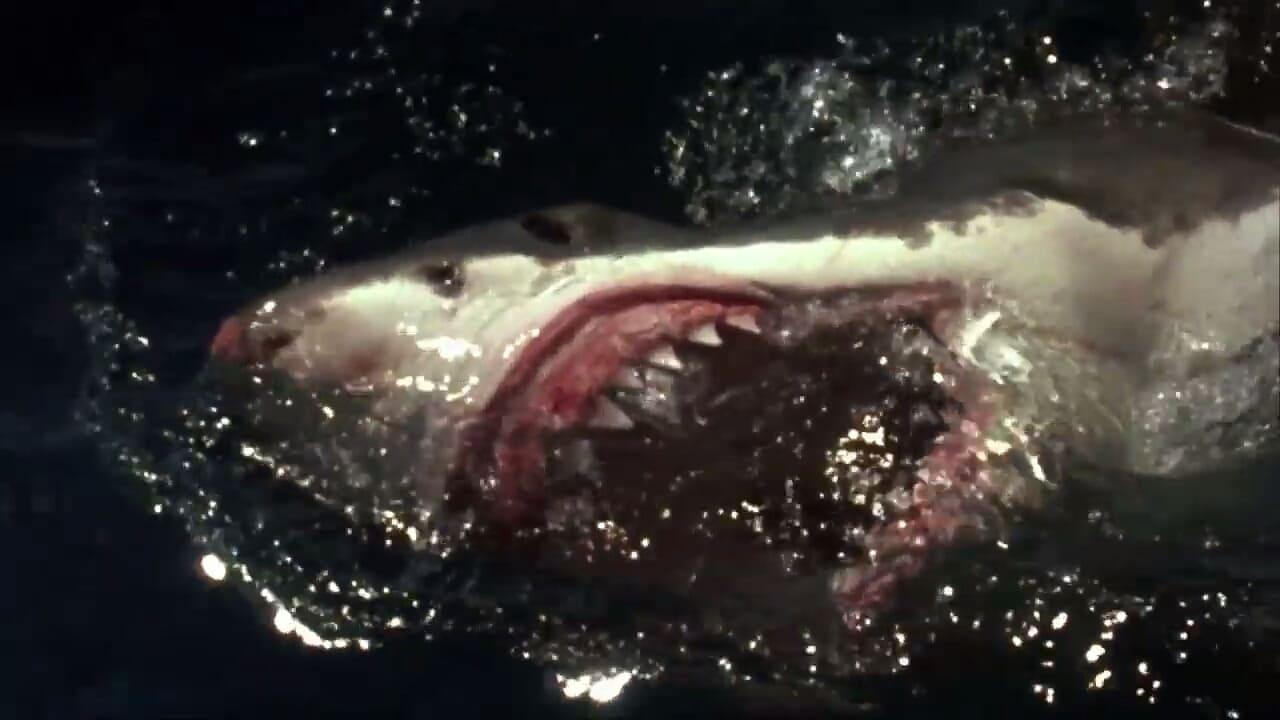 Shark Attack 4