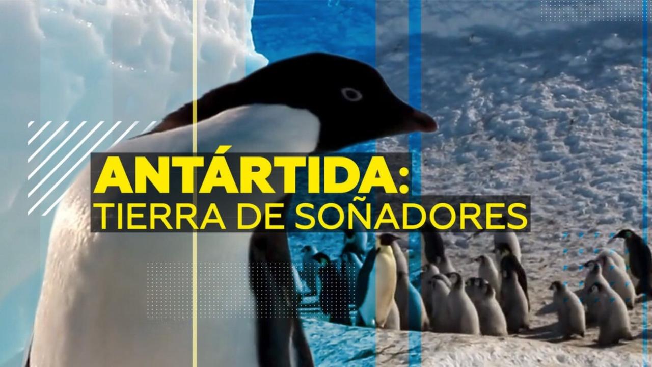 Antártida: tierra de soñadores