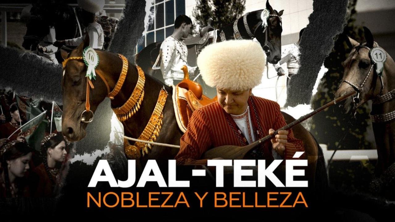 Ajal-Teké: Nobleza Y Belleza