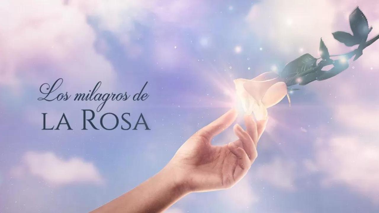 Los milagros de la rosa: Perú / 22.02.2025, 18:30