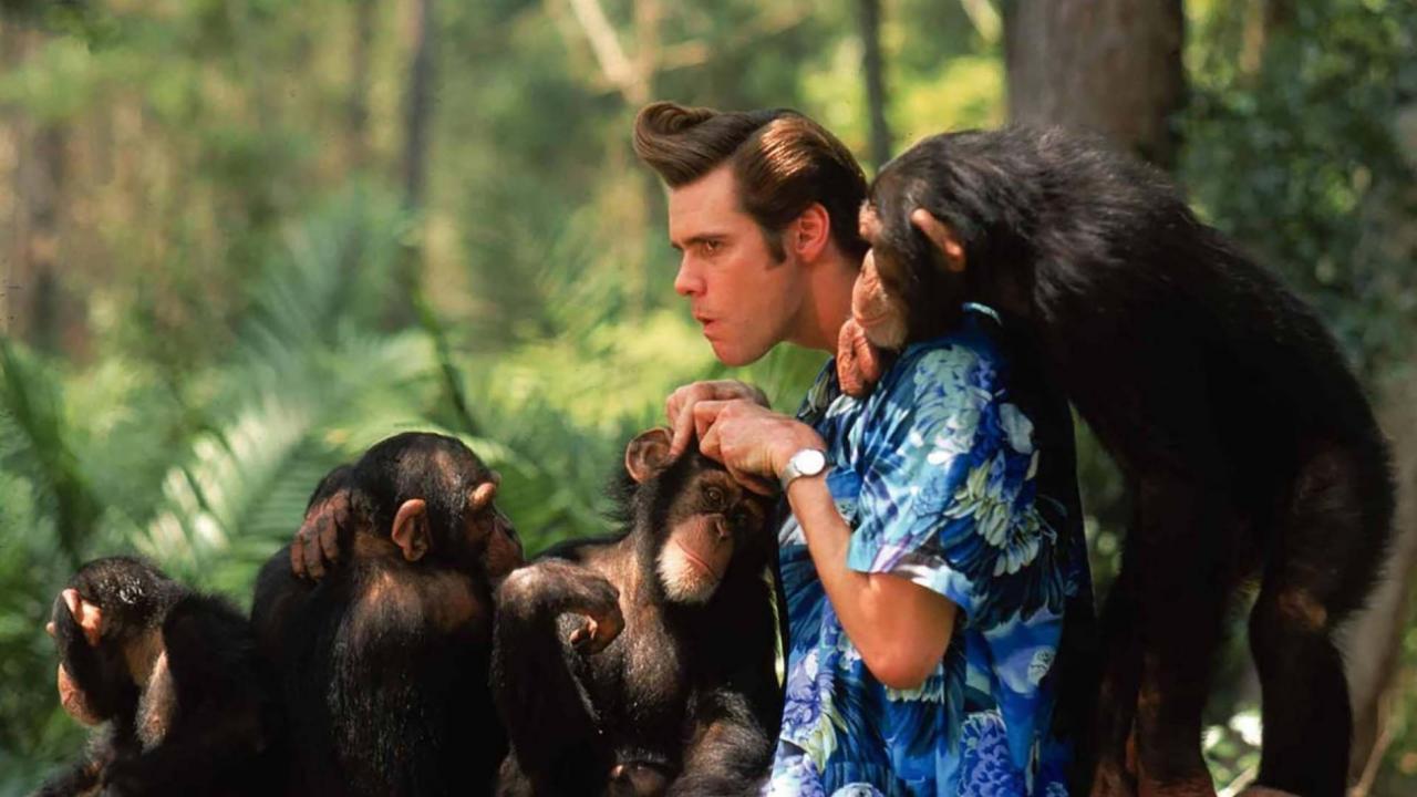Ace Ventura - Cuando la naturaleza llama
