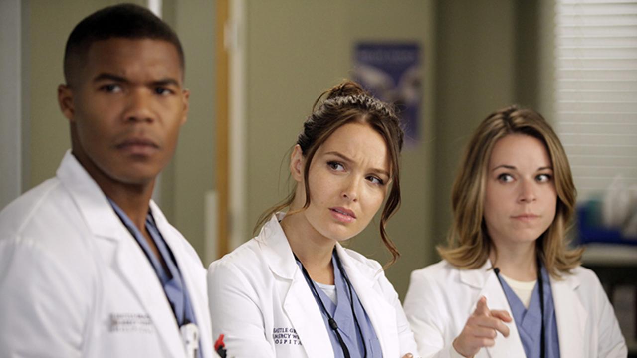 Grey's Anatomy / 20.01.2025, 18:00